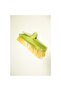 Plus Bamboo Hard Broom - 6