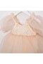 Amelia Birthday Special Occasion Romber Evening Dress - 3