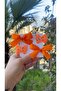 Cleo Orange Buckle Set (Ribbon Bow Glitter Butterfly 3.2 Metal Clip)