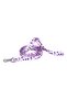 Patterned Recycled Leash - 5