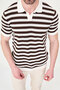 Striped Slim Fit Lapel Collar Men's Knitwear T-Shirt Ecru-Brown - 11591.26Y - 5