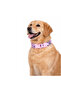 Patterned Recycled Dog & Cat Collar - 6