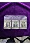 Ziplock File – Transparent Zippered File, 3-Compartment File - 3