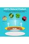 Veximind 120 Pack Mosquito Repellent Stickers for Kids - All-Natural Citronella Essential Oil Patche - 3
