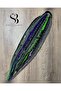 16-Piece Rasta Buckle Set 50cm - Black & Dark Gray & Dark Purple & Green - 2