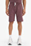 Combed Cotton Claret Red Men's Shorts F7589Ax/Pr461 - 3