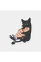 I Won'T Let Go of My Fish Cat Sticker