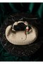 B37112 Shoulder Bag Knitted Patterned Crossbody Bag Daily Stylish Handbag for Women - 4