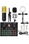 D6 Sound Card Mobile Phone Computer Recording Anchor Live Singing Song Artifact