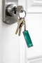 Unisex Green Harmonica Keychain Metal Sound Maker Women Men Accessory