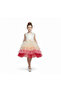 D' Daniela - Toddler Girls Bow Front Ombre Layered Gown Dress - Multicolor - 1Y to 6Y