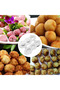 قالب صنع الحلويات واللحوم بنفسك 🍡 🍔   قالب متعدد الاستخدامات لتشكيل كرات اللحم والمعجنات والحلويات - 3