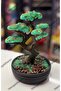 Bonsai Ağacı 3D - 3