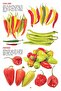 My Jumbo Book - VEGETABLE - 5