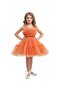 D' Daniela - Girls Bow Front Ruffle Hem Mesh Gown Dress - Multicolor - 1Y to 13Y