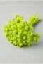 100 Pieces Neon Yellow Chenille 30cm Phosphorescent, Fuzzy Velvet Wire, Handicraft, Flower Gift Decoration School Event - 3