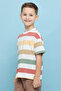 Striped T-Shirt with Crew Neck and Short Sleeves - 3