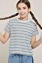 Striped T-Shirt with Crew Neck and Short Sleeves