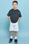 Striped T-Shirt with Crew Neck and Short Sleeves - 5