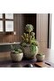 Set of 3 Speckled Ceramic Planters and Organiser Bowls