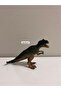 Century of the Dragon Dinosaur World Trex 5 Piece Toy Set