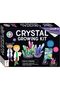 Curious Universe Crystal Growing Kit