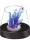 Curious Universe Crystal Growing Kit - 8