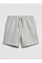 Two Mt Shop Quality Lcw Kids Gray Interlock Plain Standard & Regular Boys' Shorts - 2