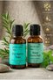 100% Pure Tea Tree Essential Oil and Peppermint Essential Oil - (10ml + 10ml)