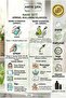 100% Pure Mint - Essential Oil and Water (10ml+100ml) - 2