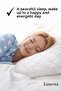 100% Cotton Quilted 2-Piece and 4-Piece Pillow Mattress Protector Cover (50X70 cm) - 5