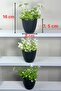 Set of 3 White Artificial Flower Plants in Black Pots Decorative Tabletop Arrangement - 5
