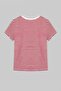 Red Striped Pool Collar Fitted/Fitted Plus Size T-Shirt Tbbss26Bf00038 - 6