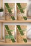 Herbal Lozenges 4-Pack |   50 Gr Thyme Sugar, 50 Gr Mint, 50 Gr Ginger, and 50 Gr Cloves - 4