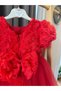 Babyaden Embossed Floral Balloon Sleeve Tulle Bow Detailed Birthday Party Costume Girl Child Dress - 3