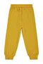 Boy's Cowboy Cactus Printed Sweatpants for Ages 2-5 - Mustard - 2