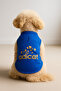 Cat and Dog Outfit & Dress - Cobalt Blue Adicat Undershirt