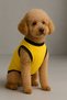 New Season Dog and Cat Outfit - Mustard Pikachu - 3