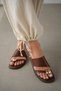 Zenira Flat Sole Flip Flops with Gold Accessory Detail for Women - Brown - 2