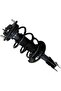 Shock Absorber Assembly Suitable for Mustang - Rear Right, Performance Tuned - 4