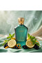 TAIF 109 100ML EDP - 3