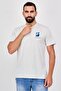 Men Regular Fit Embroidered Logo Short Sleeve T-Shirt, Light Grey