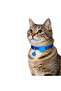 Swissplus Urban Paws Cat Collar – Deep Ocean Blue |   Adjustable, Durable, Lightweight-10Mm - 2