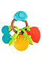 Musical Fruit Teething Rattle