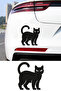 Cat Figured Car Sticker – Car Decoration Sticker - Cute Cat Sticker 14X15Cm
