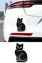 Cute Cat Car Sticker - Cat Car Sticker - Adorable Vehicle Decoration 10X15Cm