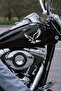 Predatory Eagle Car Sticker - Car Sticker with Eagle Figure 15X14Cm - 4