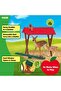 Feeding the Forest Animals 42658 - 3