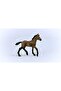 Peruvian Paso Foal 13954 - 5