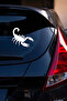 Scorpion Car Sticker - Aggressive Design Vehicle Sticker - Motor Sticker 15X13Cm